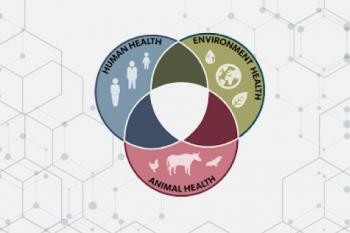راهنمای ارزیابی ریسک استفاده از نانومواد در مواد خوراکی و زنجیره غذایی انسان ها و حیوانات