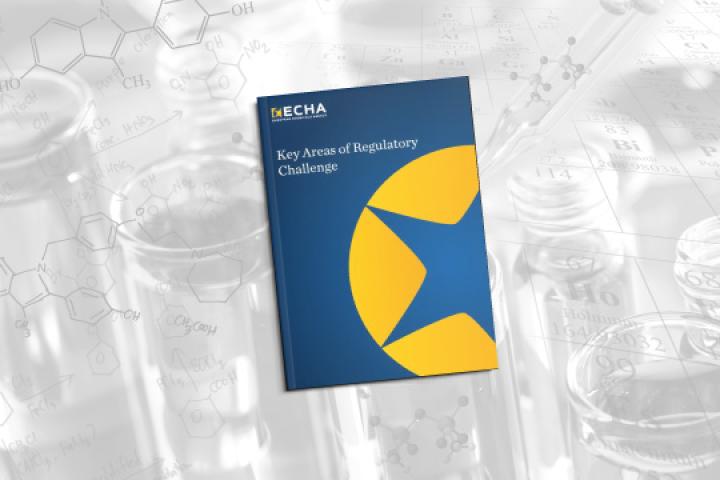 انتشار نسخۀ جدید گزارش ECHA درباره حوزه‌های کلیدی مشکلات تنظیم مقررات در زمینۀ مواد میکرو و نانو